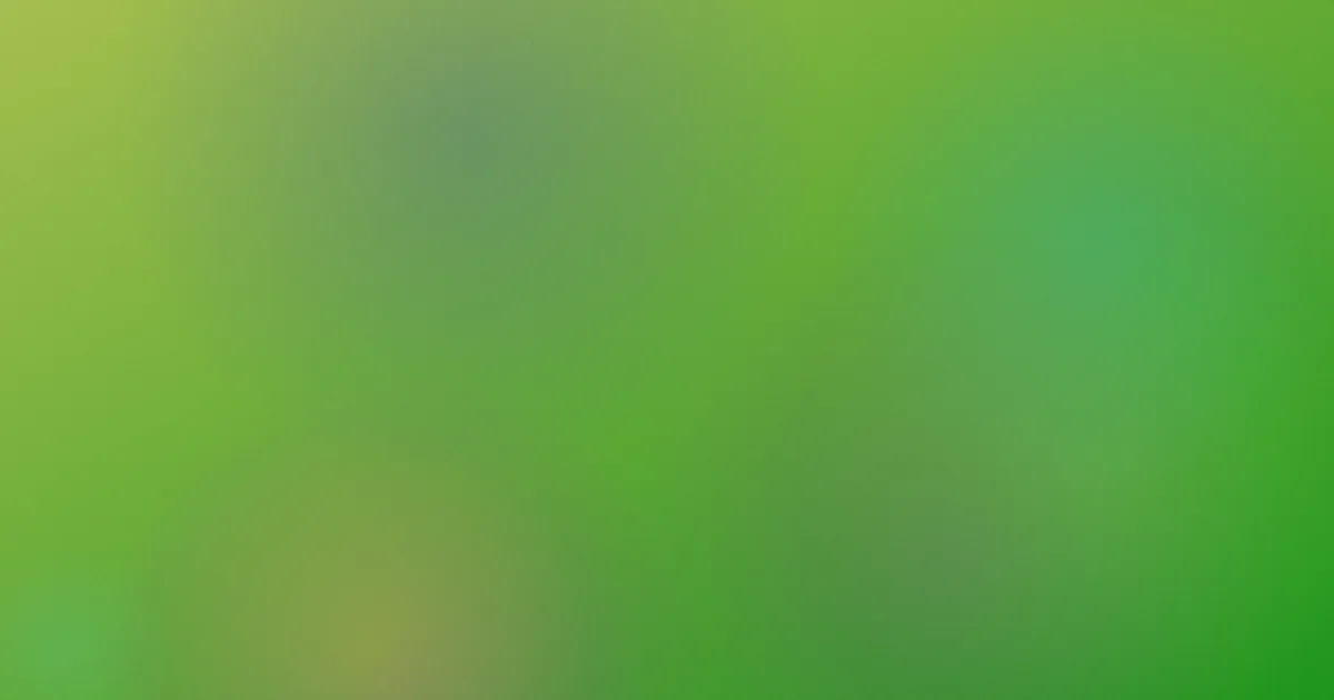 红山推荐：新手第一次这样选